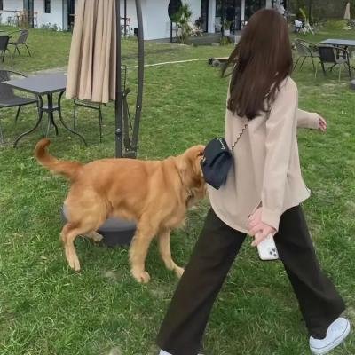从今天起,世界都是你的